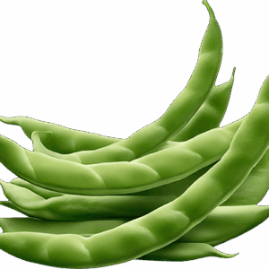 Organic Sweet Proppol