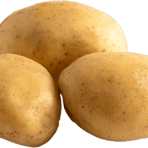 Fresh New Potato